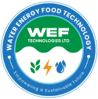 wef-logo